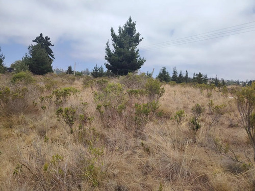 Inversión Segura Parcela 5042 M2 Con Vistas Y Pozo Propio