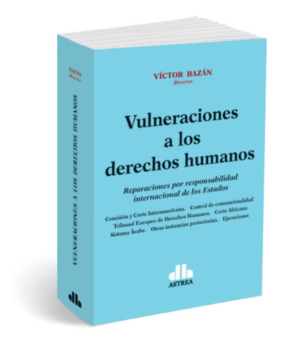 Vulneraciones A Los Derechos Humanos. Bazan