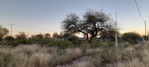 Lote Terreno San Luis Escritura Loteo Los Algarrobos