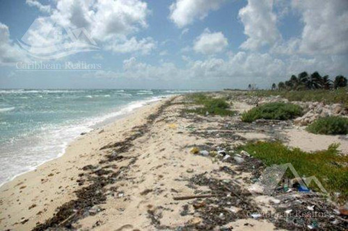 Imagen 4 de 6 de Terreno En Venta En Mahahual