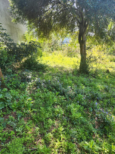 Terreno Balneario Buenos Aires, En La Mejor Zona , Todo Al Dia