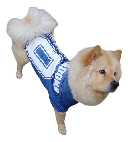 Camiseta De FĂștbol Para Perros Maradona Mundial 94