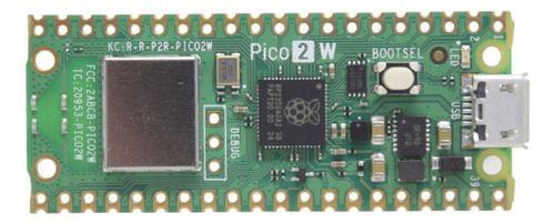 Raspberry Pi Pico 2w Oficial