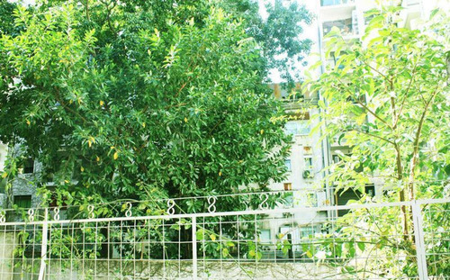 Imagen 1 de 13 de Departamento Retasado 3 Ambientes Con Dependencia Recoleta