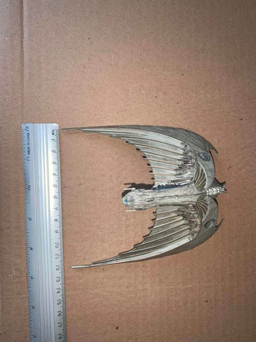 Miniatura Star Trek Bird-of-prey - Eaglemoss - Bonellihq I18