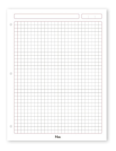 Mate | Hojas Para Carpeta | Carta | 100 Hojas | Cuadro Grande