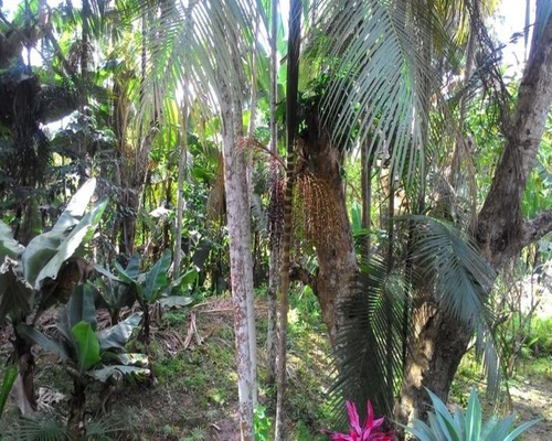 Chácara - 0271 - 32820370