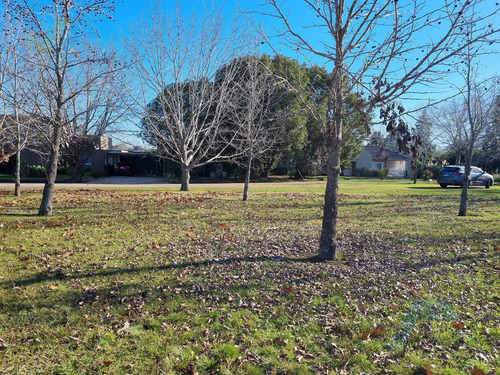 Lote En Venta En El Barrio Altos De Manzanares