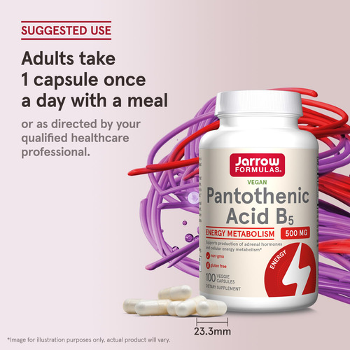Suplemento Jarrow Formulas Ácido Pantotênico B5 500 Mg 100 C
