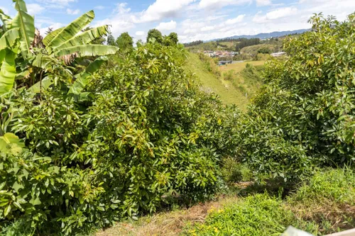 Casa Campestre En Venta En Vereda La Mosca. Cod V11271