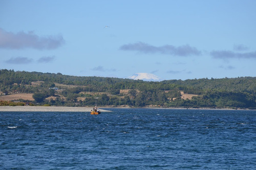 Imagen 10 de 16 de Se Venden Parcelas Con Orilla De Playa En Chiloé