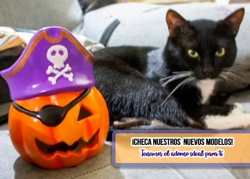 Imagen 4 de 4 de Calabaza Dulcero Bombonero Adorno Halloween Día De Muertos