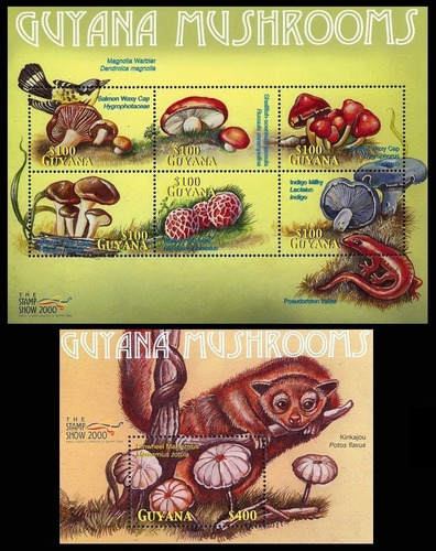 Flora - Hongos -  Stamp Show  - Guyana - Hojita + Block Mint