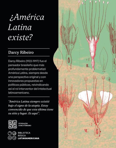 América Latina Existe?, De Ribeiro, Darcy., Vol. Volumen Unico. Editorial Tucán Ediciones, Tapa Blanda, Edición 1 En Español