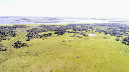 Lote De 108 Hectareas En El Caracol - Garzon