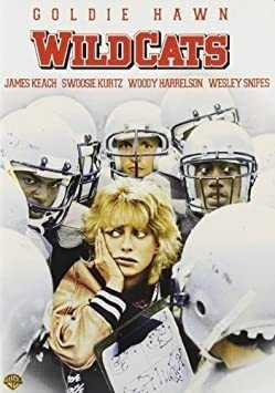 Wildcats Wildcats Dolby Subtitled Widescreen Usa Import Dvd