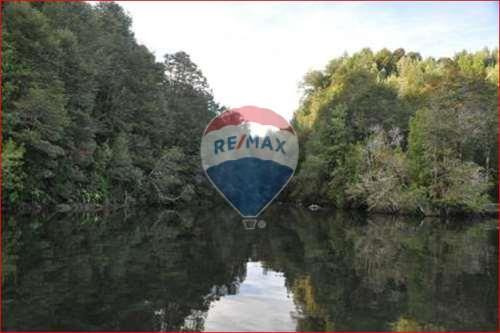 Paraíso: Predio Y/o Bosque Con Dos Islas Privadas