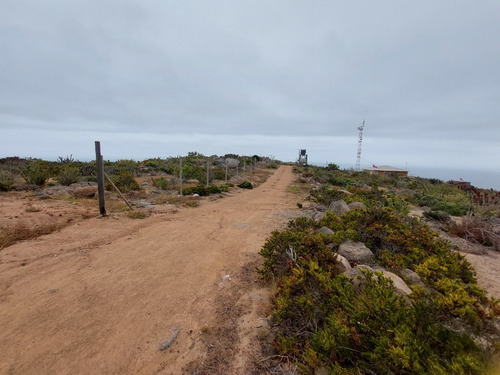 Imagen 3 de 11 de Terreno El Arrayan La Serena, Km 492