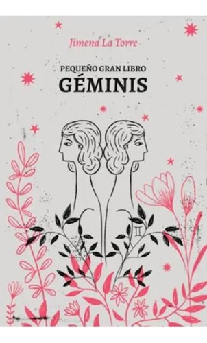 Pequeño Gran Libro: Geminis