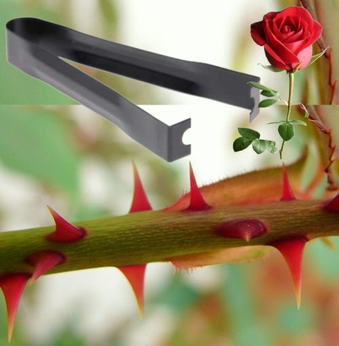 Imagem 2 de 2 de Kit Com 3 Raspadores De Espinhos Para Flores (rosas, Etc...)