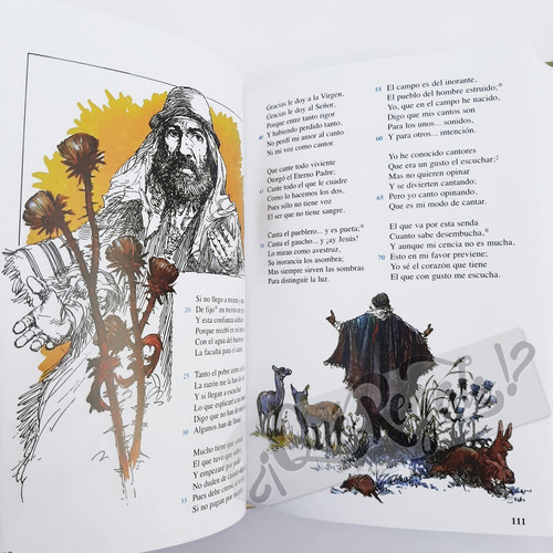 Libro Martín Fierro · J. Hernández · Ilustrado Y Vocabulario