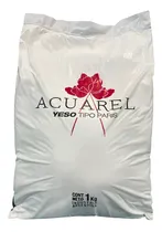 Comprar Yeso Tipo Paris Para Moldes Esculturas Bolsa 1 Kg
