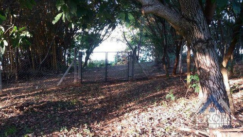 Imagem 12 de 18 de Chácara Com 1 Dormitório À Venda, 4100 M² Por R$ 595.000,00 - Paranagi - Sertaneja/pr - Ch0194