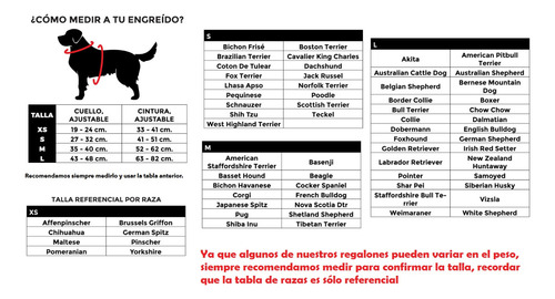 Arnés Para Perro Chroma Air Mesh Plus (talla S) Zee.dog