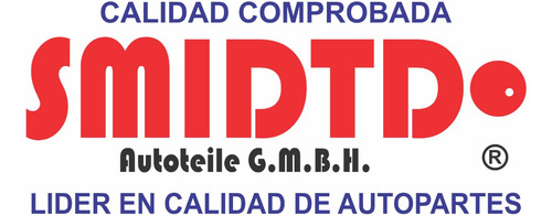 Bomba Gasolina Alta Presio Electr Cople Tiguan 2.0 Tsi 08-19