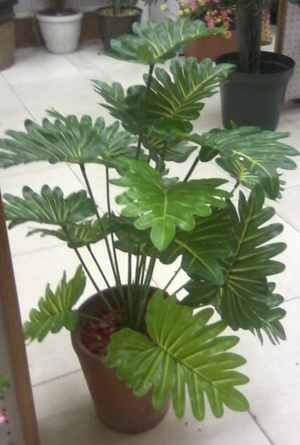 Imagen 4 de 10 de Aralia 18 Hojas 70 Cm - Plantas De Interior Artificiales