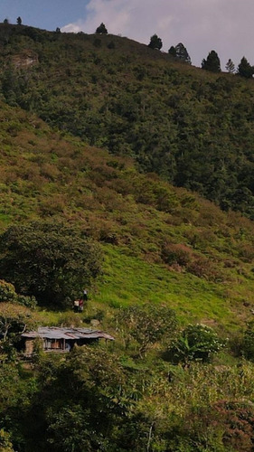 Imagen 4 de 7 de Villa De La Luz