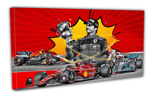 Cuadro Lienzo Canvas 70x100cm Autos Diferentes Formula Uno