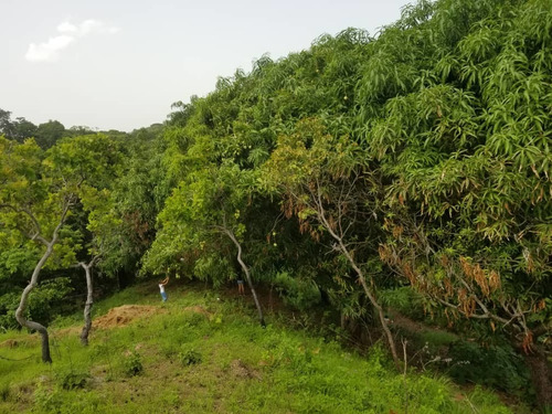 Imagen 11 de 12 de Vendo O Cambio Terreno Con Casa Cercada