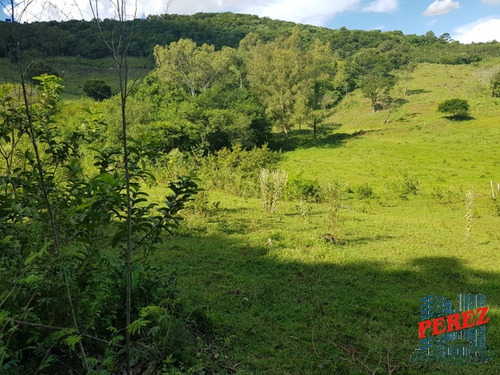Chácaras_sítios_fazendas Para Venda - 13650.5197