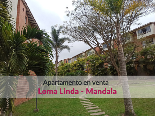 Apartamento Con Amplia Terraza En Venta En Loma Linda Mandala
