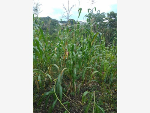 Imagen 1 de 3 de Terreno En Venta Villahermosa
