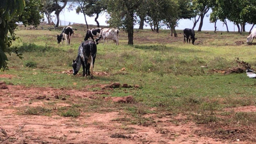 Chácara Fundo Represa Jurumirim