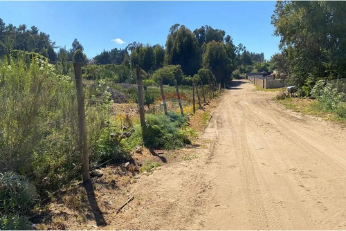 Terreno 1.500m² Alta Plusvalía En Reñaca Los Pinos