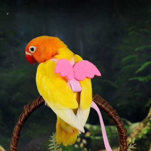 Arnés Y Correa Para Pájaros, Periquitos, Cacatúas, Loros Y C Color Rosa