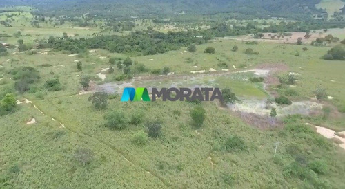 Imagem 4 de 6 de Fazenda - Zona Rural - Ref: 5483 - V-mta5483