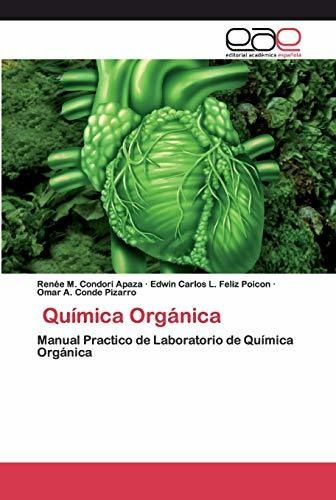 Química Orgánica: Manual Practico De Laboratorio De Química 
