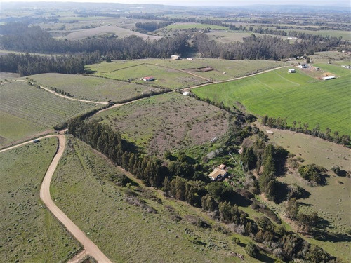 Imagen 3 de 8 de Agrícola En Venta En Santo Domingo