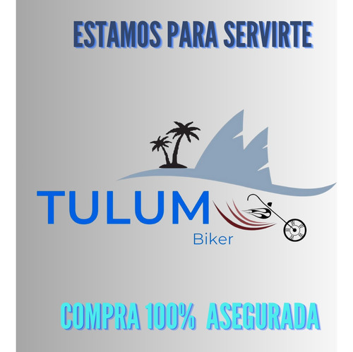 Desengrasante De Carburador Ipone Carbu Cleaner 750ml Moto