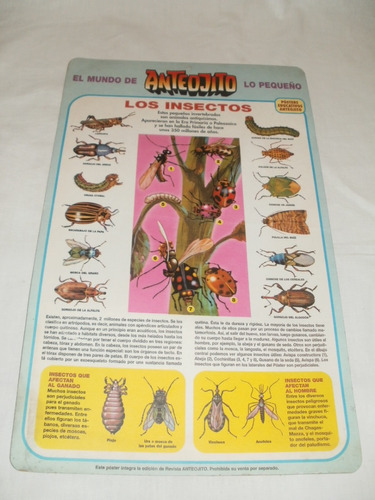 Poster Revista Anteojito Los Insectos Zona Caballito