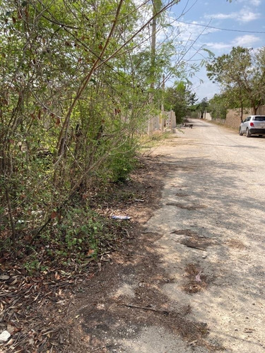 Imagen 4 de 4 de Terreno En Venta En Dzitya