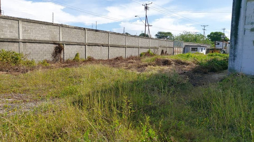 Imagen 12 de 16 de Alquiler Galpon Industrial Que Consta De 4 Depósitos Santa Teresa Del Tuy