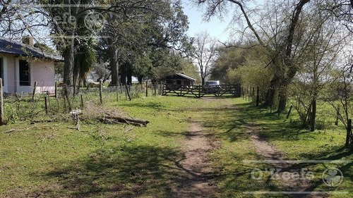 Imagen 3 de 22 de Chacra De 28 Has En Venta - Casco Y Producción