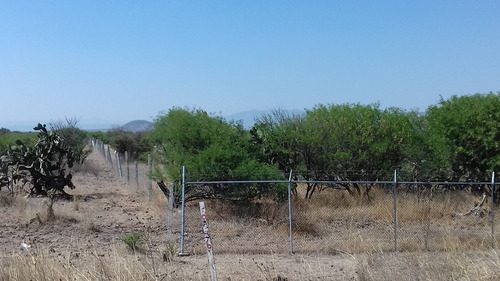 Imagen 9 de 12 de Terreno En Venta En Tequisquiapan