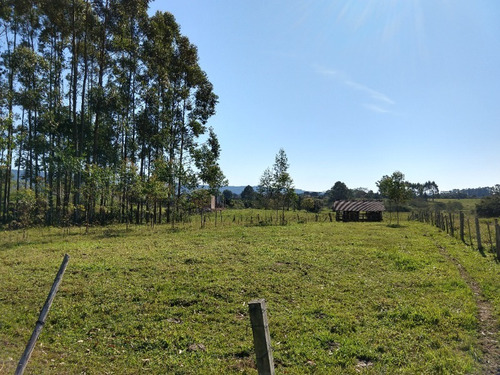Chácara 20.000 M² - Vila Nova - Glorinha - Rs - 1802 - 32515745