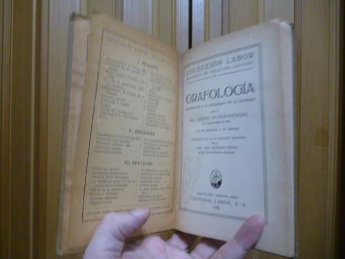 Grafología - Georg Schneidemühl (Usado)